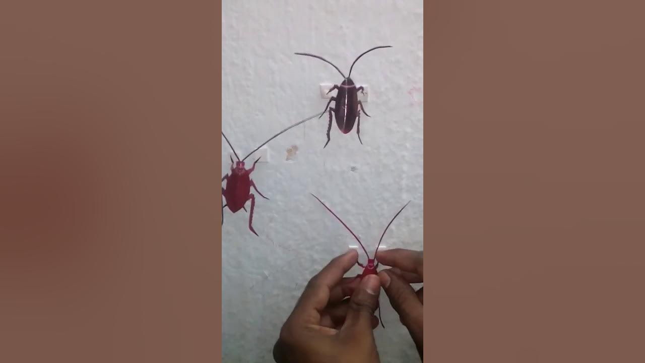 How to make realistic cockroaches with paper making wonderful