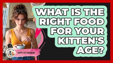 What Is The Right Food For Your Kitten