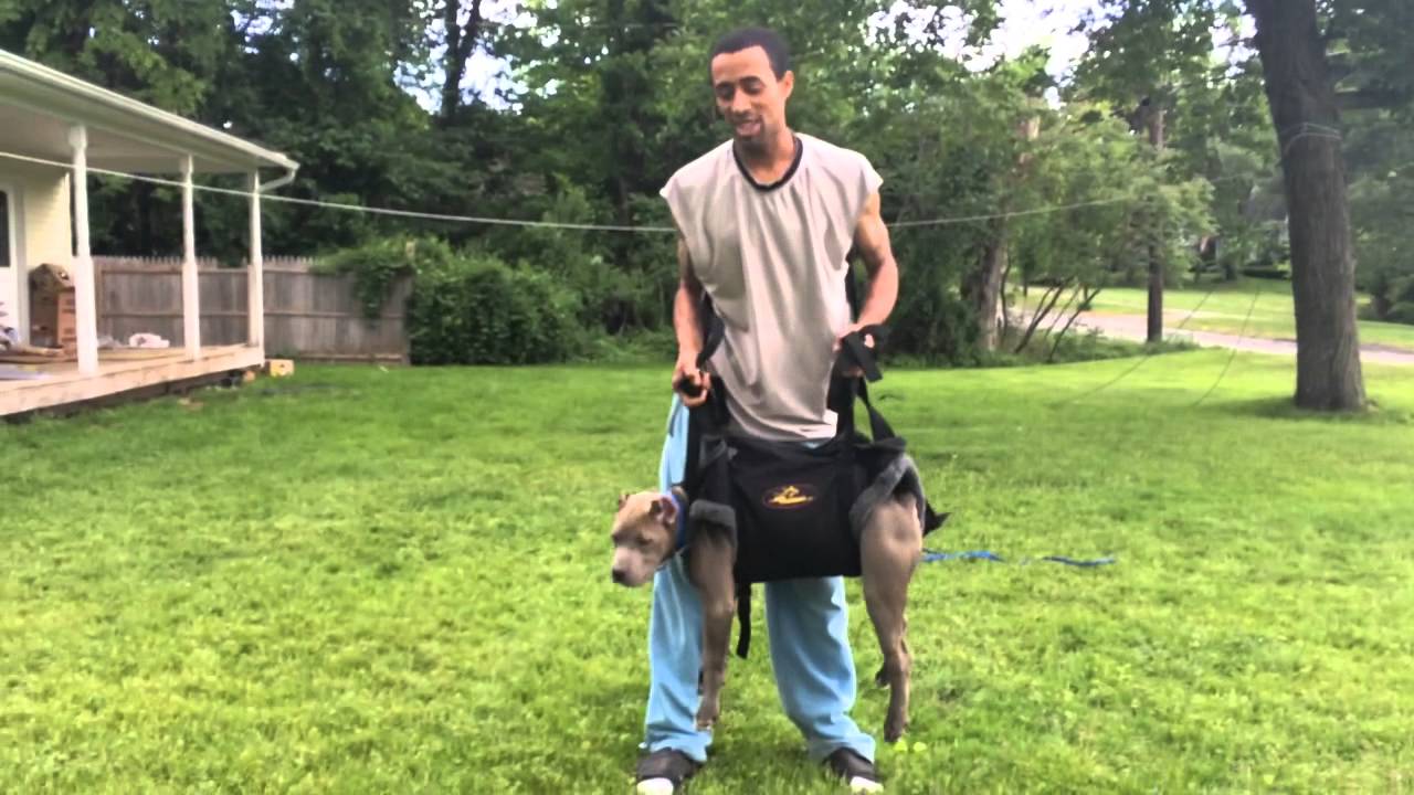 Tactical insertion first intro to harness YouTube