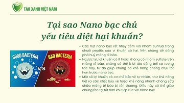 05 - Tại sao nano bạc chủ yếu tiêu diệt hại khuẩn