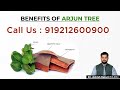 Benefits of arjuna bark  health tips by divyarishi