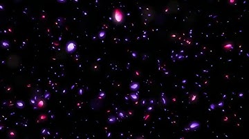 Hiệu ứng Cánh hoa rơi tím và hồng ☘