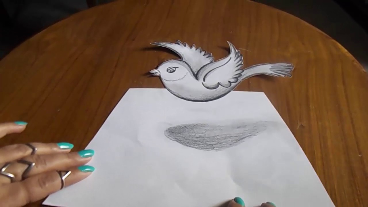 How to draw easy 3D Bird How to draw a bird for