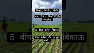 Nimbod Property Sales .