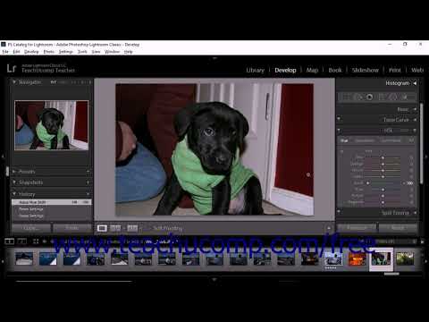 Lightroom Classic CC Tutorial Using Views in the Develop Module Adobe Training