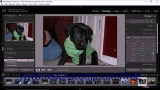 Lightroom Classic CC Tutorial Using Views in the Develop Module Adobe Training