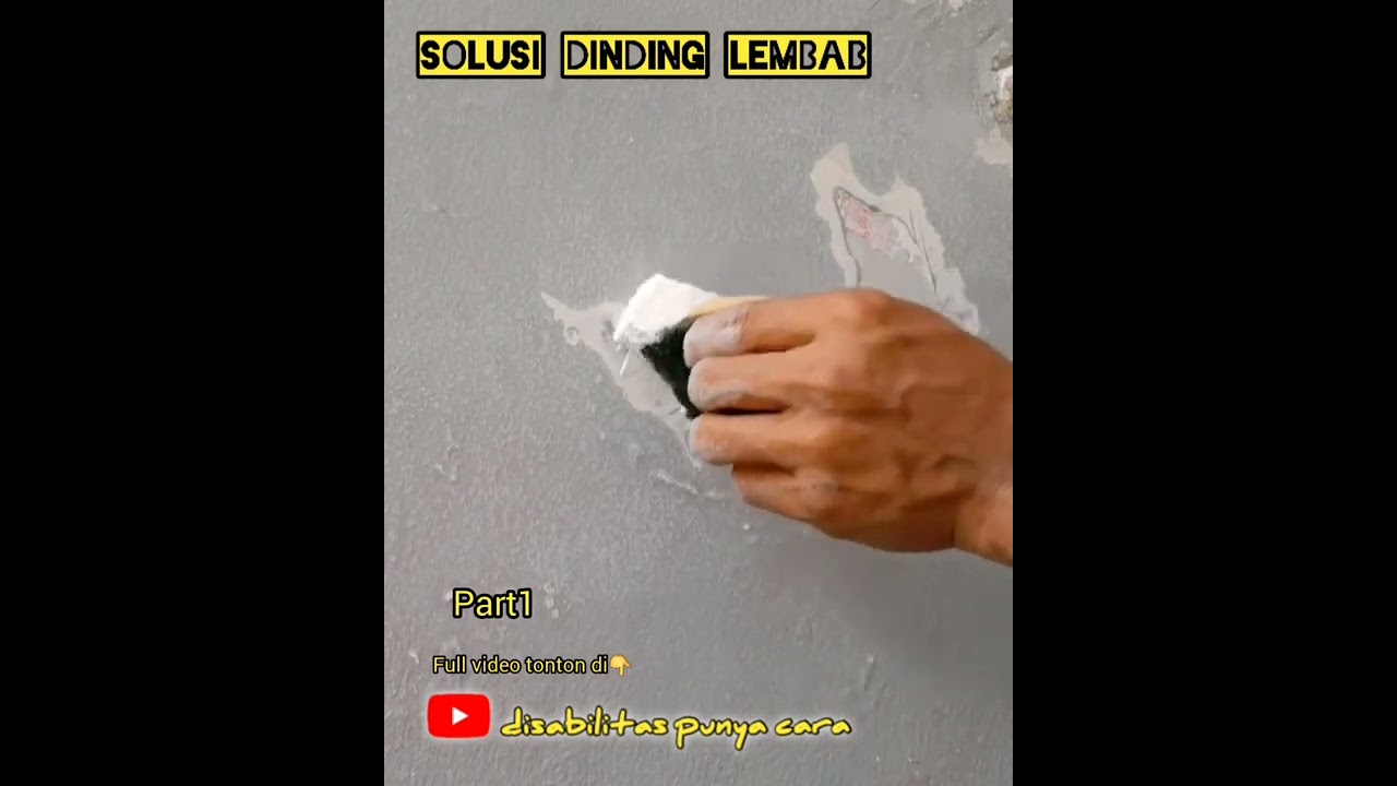 solusi untuk cat dinding terkupas