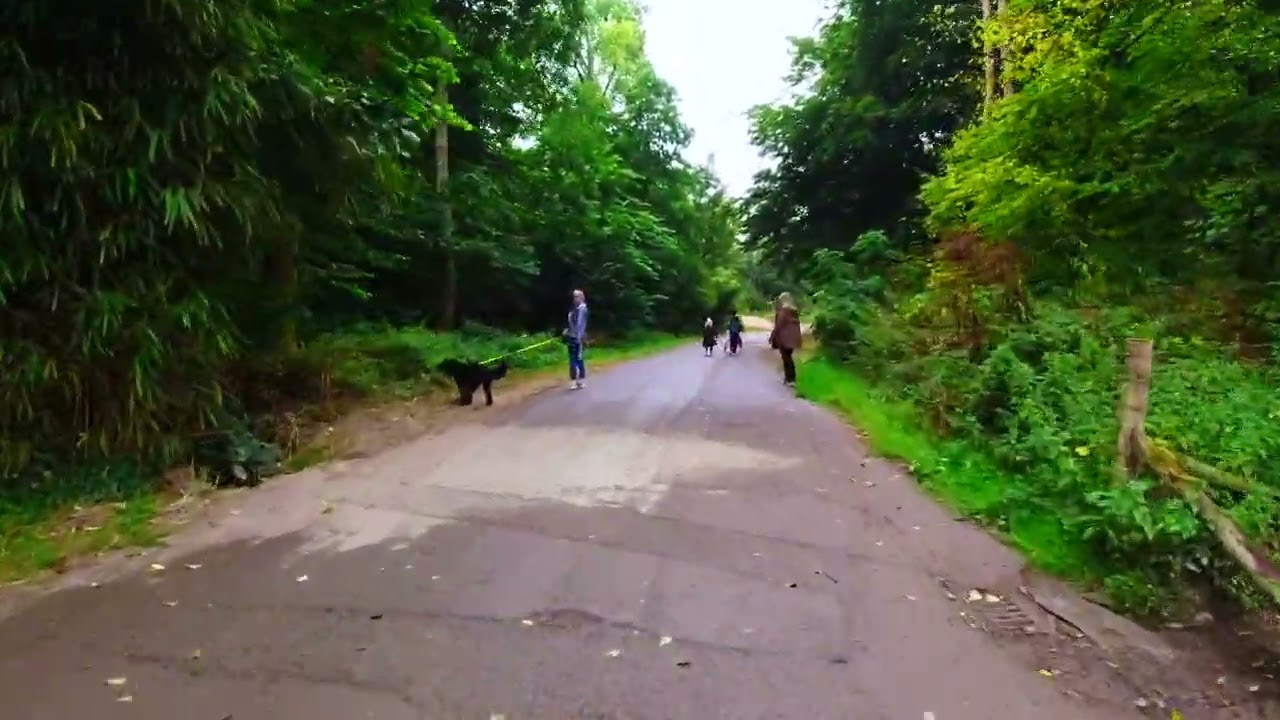 Cycle from Lidl to city via Saltram Country Park  -  Plymouth UK - Aug 2022