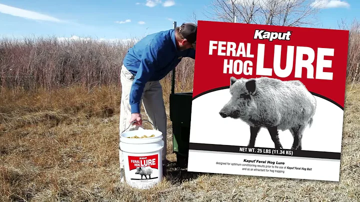7-Steps to Successful Feral Hog Baiting