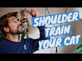 How to train a cat to sit on your shoulder using clicker training