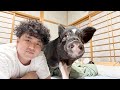 皆さんが思う“ブタのイメージ”、たぶん全然違います。