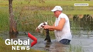 Florida man wrestles alligator to save puppy in dramatic video