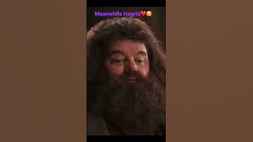 ❤️🥰Hagrid🥰❤️ #harrypotter #hagrid #love