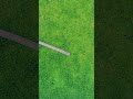 Stunning lake of lotus transition using gorgeous Mavic 4 Pro Camera #epic #dji #view #nature #shorts