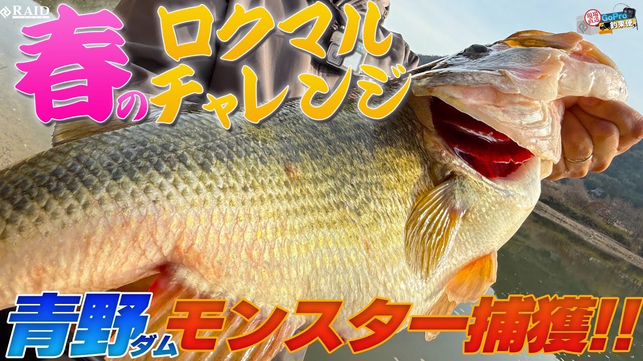 GoPro釣果便!!『春のロクマルチャレンジin青野ダム』岡友成/ゆたかボーイ