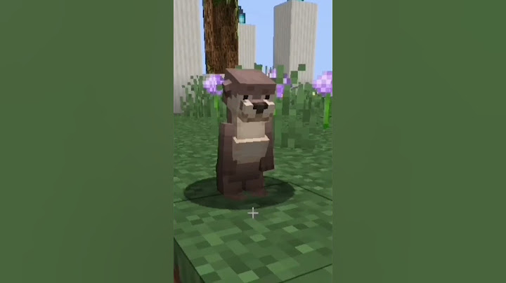 LA NUTRIA COLOMBIANA 🦦🇨🇴
