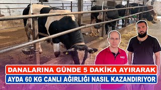 Danalarına Günde 5 Dakika Ayırarak | Ayda 60 Kg Canlı Ağırlığı Nasıl Kazandırıyor ?