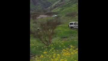 ﴿ألم تر إلى ربك كيف مد الظل﴾ تلاوة جميلة يخشع لها القلب للقارئ: إدريس أبكر وفقه الله .