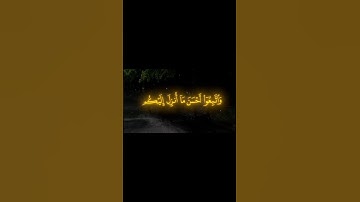 قران كريم بصوت الشيخ ياسر الدوسري تلاوه لن تتكرر