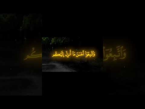 قران كريم بصوت الشيخ ياسر الدوسري تلاوه لن تتكرر