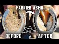 Hind Hoof Full Restoration-Farrier ASMR-Oddly Satisfying