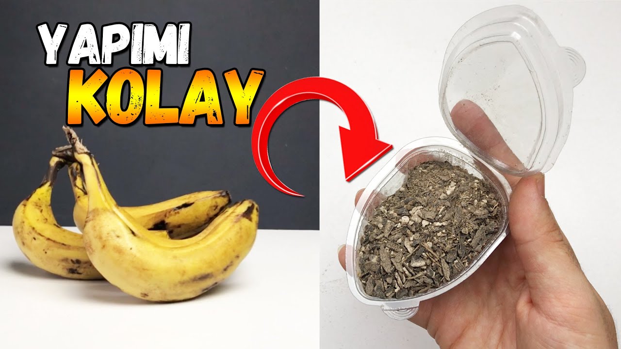 Изготовление удобрения из банановой кожуры