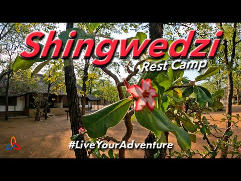 Shingwedzi Rest Camp Review Kruger National Park