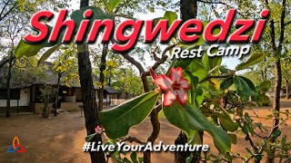 Shingwedzi Rest Camp Kruger National Park Review