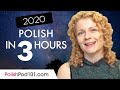 Finally Learn ALL Polish Basics in 2020