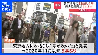 東京地方に3年ぶり木枯らし1号吹く　気象庁が発表｜TBS NEWS DIG