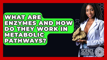What Are Enzymes And How Do They Work In Metabolic Pathways? - Science Through Time
