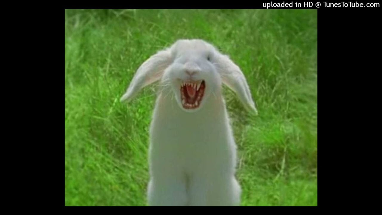 FREE OCELOT TYPE BEAT