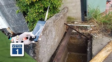 TPHCM: Bắt quả tang công ty giặt xả thải ra sông