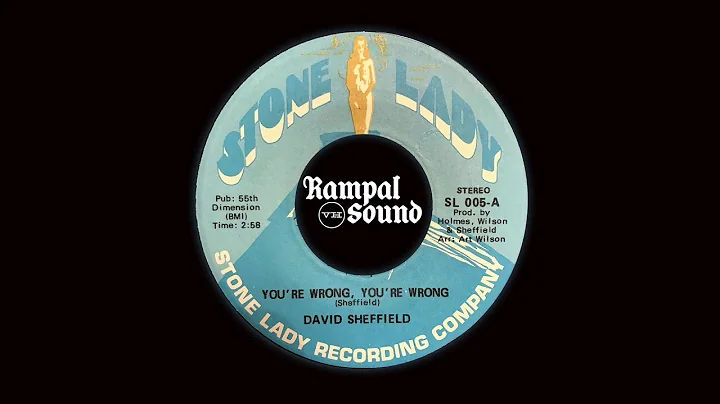 David Sheffield  - You're Wrong, You're Wrong