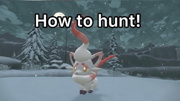 How to full odds hunt for Shiny Hisuian Zorua! (guide)