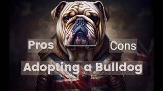 Pros and Cons for Adopting a Bulldog