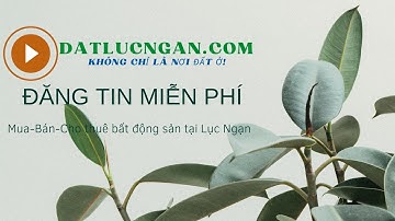Hướng dẫn đăng tin datlucngan com|Đăng tin miễn phí mua bán cho thuê bất động sản tại huyện Lục Ngạn
