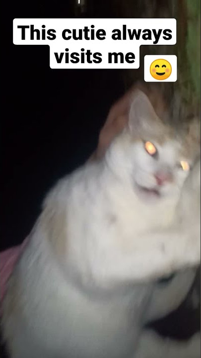 I'ma miss her when she's gone 😭