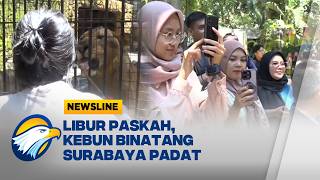 Membludak! Kebun Binatang Surabaya Dipadati Wisatawan [Newsline]