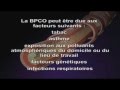 Bpco bronchopneumopathie chronique obstructive