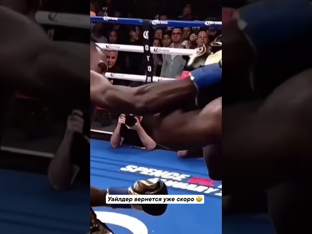 Уайлдер возвращается  #бокс #boxing #top #актуально