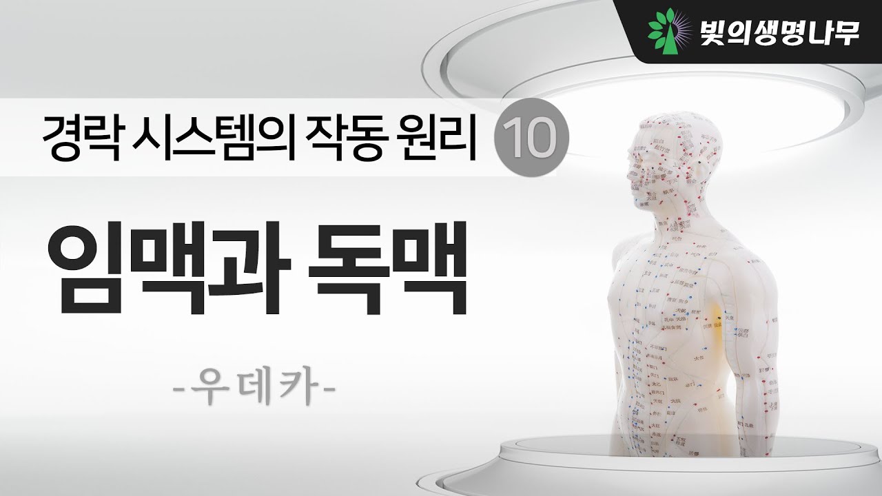 경락 시스템의 작동 원리 10 : 임맥과 독맥 편