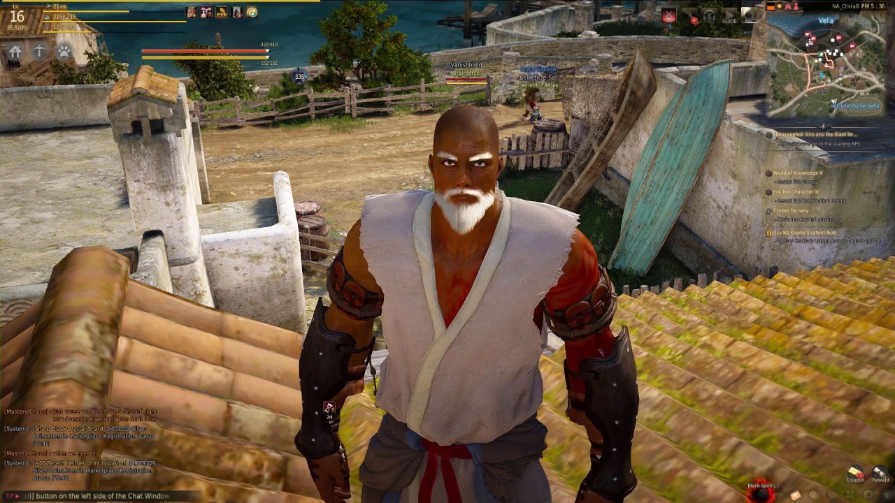 How to catch pets in Black Desert Online YouTube