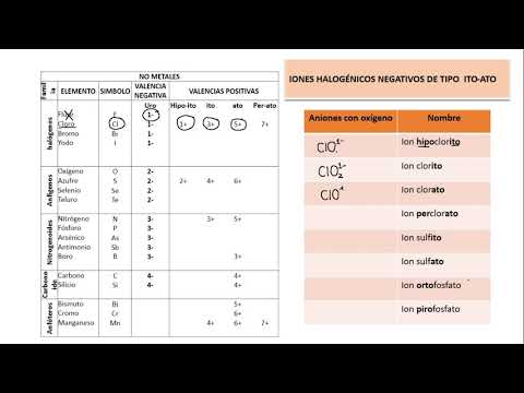 Vídeo: Evaluación Basada En Fenómenos De La Efectividad Biológica Relativa De Los Haces De Iones Mediante El Enfoque Multiescala