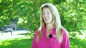 Probability of Exceeding Forecast