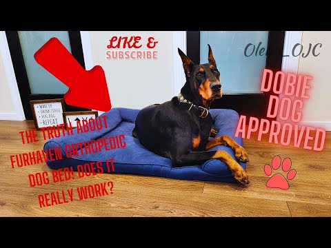 Doberman Tested: FURHAVEN