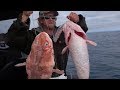 offshore fishing Hokitika Trench South Island New Zealand with Josh James and friends