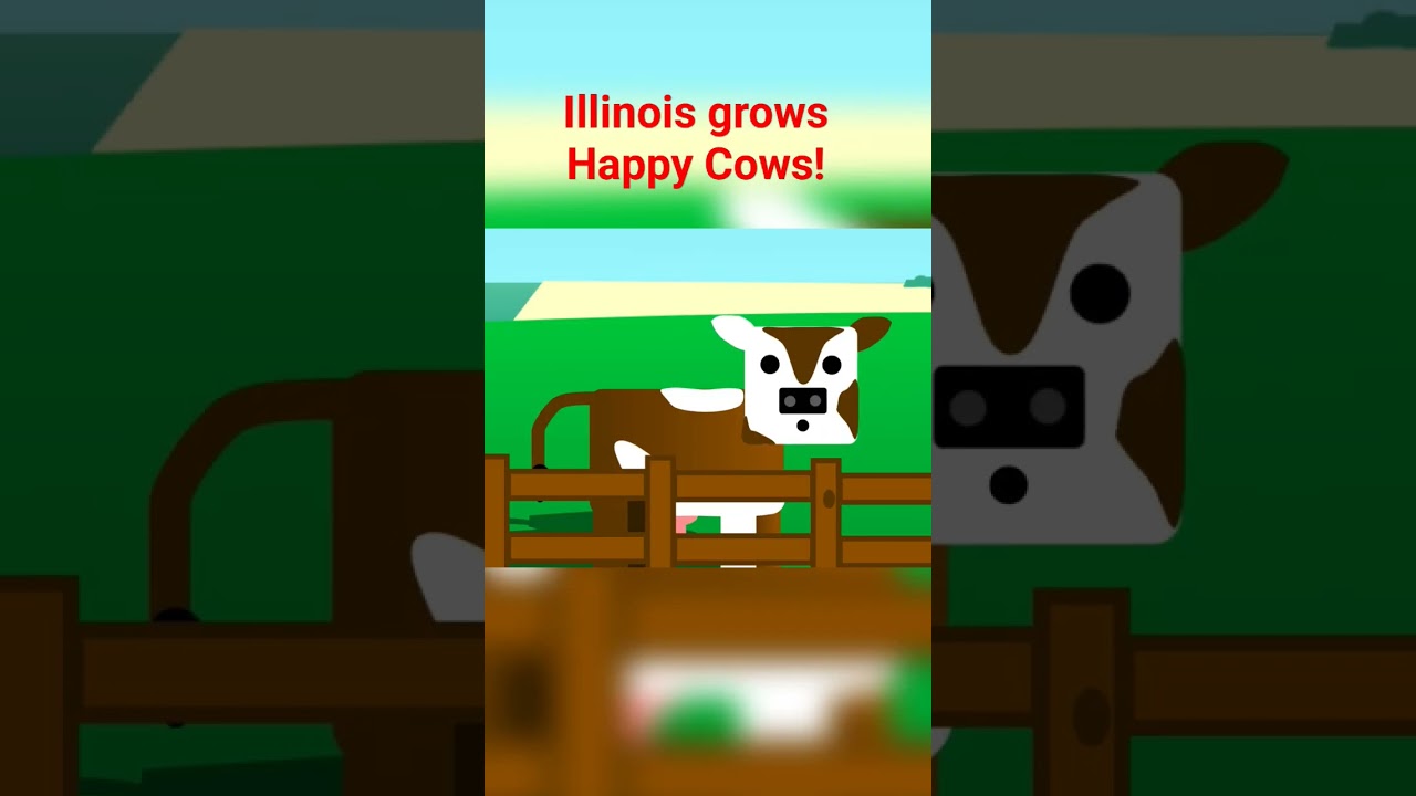 Happy Cows! Grown happily in the Midwest! #animation #cartoon #cow #meme #2danimation #animated #cat