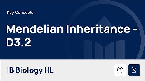 Mendelian Inheritance [IB Biology HL]