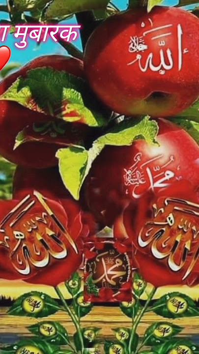 सुबानल्लाह alhamdulih #islamic #youtubeshort #jumamubarakstatus #vidio #video #islamic2024 #trending